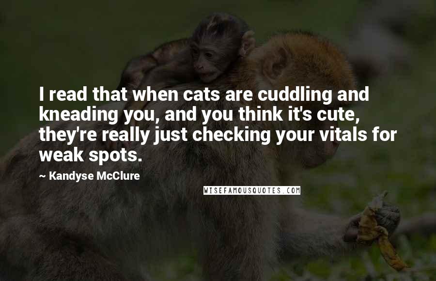 Kandyse McClure Quotes: I read that when cats are cuddling and kneading you, and you think it's cute, they're really just checking your vitals for weak spots.