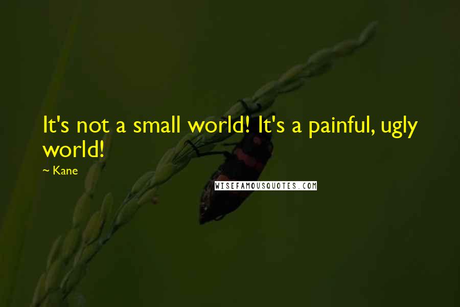 Kane Quotes: It's not a small world! It's a painful, ugly world!