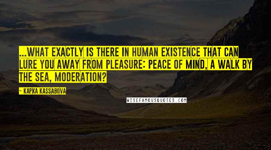 Kapka Kassabova Quotes: ...what exactly is there in human existence that can lure you away from pleasure: peace of mind, a walk by the sea, moderation?