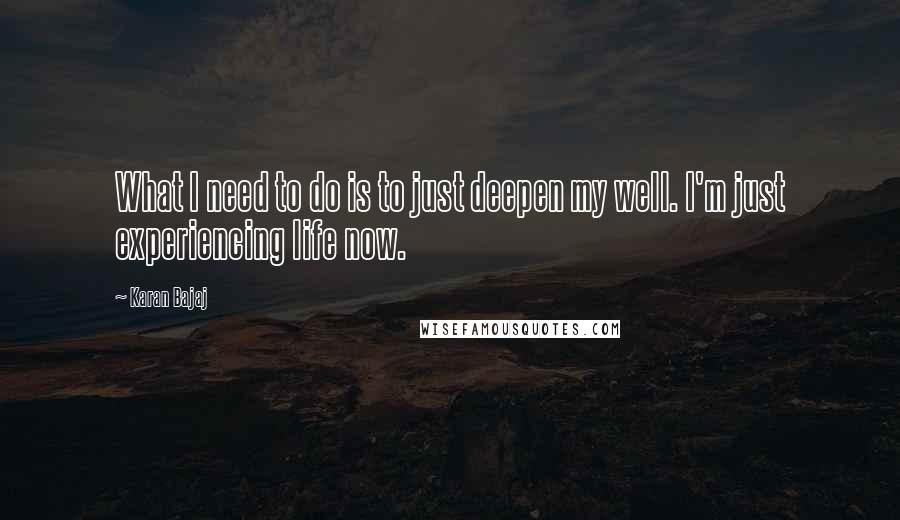 Karan Bajaj Quotes: What I need to do is to just deepen my well. I'm just experiencing life now.