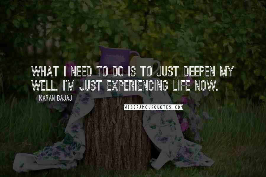 Karan Bajaj Quotes: What I need to do is to just deepen my well. I'm just experiencing life now.