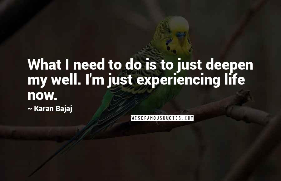 Karan Bajaj Quotes: What I need to do is to just deepen my well. I'm just experiencing life now.