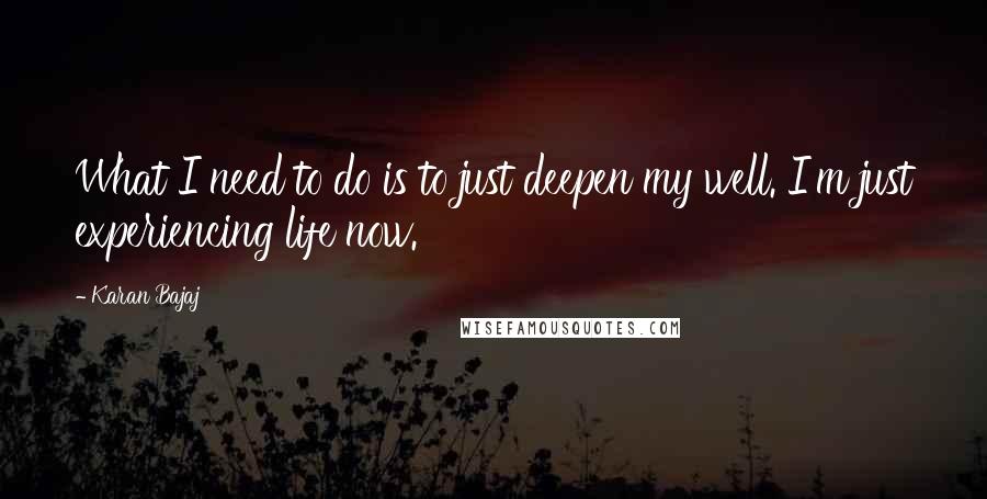 Karan Bajaj Quotes: What I need to do is to just deepen my well. I'm just experiencing life now.