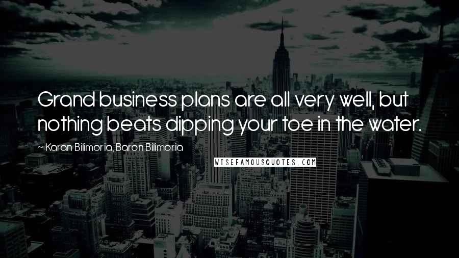 Karan Bilimoria, Baron Bilimoria Quotes: Grand business plans are all very well, but nothing beats dipping your toe in the water.