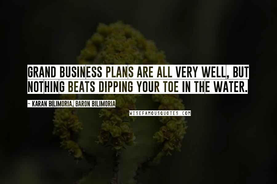 Karan Bilimoria, Baron Bilimoria Quotes: Grand business plans are all very well, but nothing beats dipping your toe in the water.