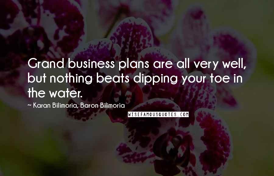 Karan Bilimoria, Baron Bilimoria Quotes: Grand business plans are all very well, but nothing beats dipping your toe in the water.