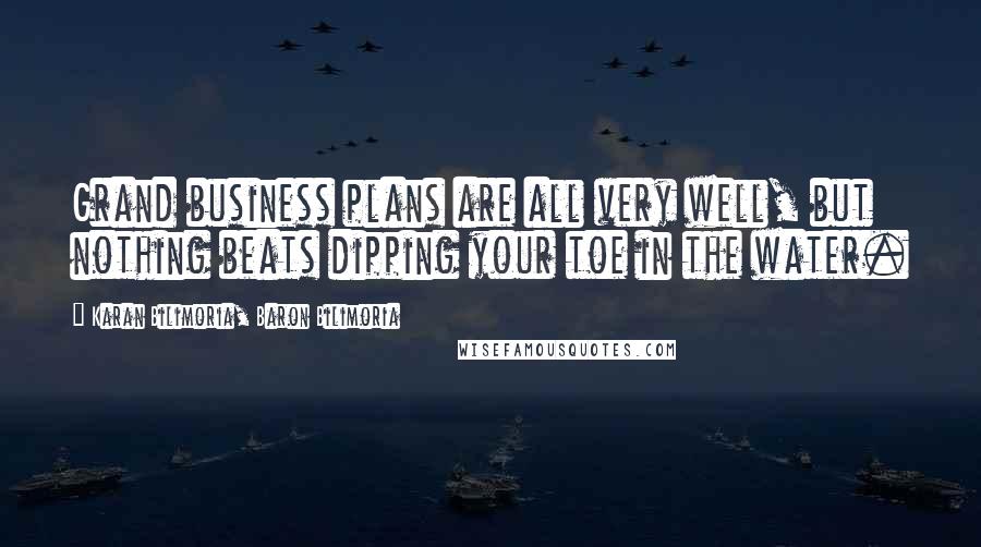 Karan Bilimoria, Baron Bilimoria Quotes: Grand business plans are all very well, but nothing beats dipping your toe in the water.