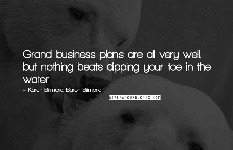 Karan Bilimoria, Baron Bilimoria Quotes: Grand business plans are all very well, but nothing beats dipping your toe in the water.