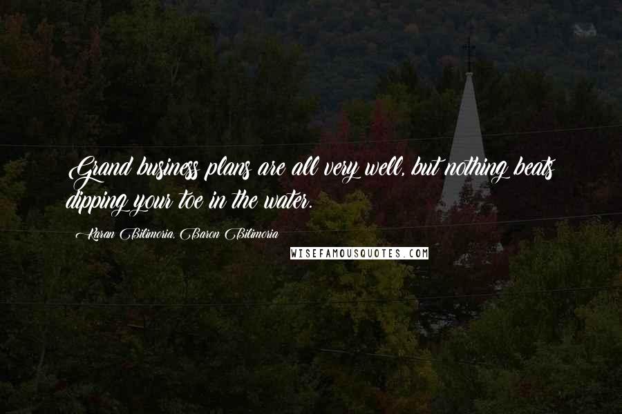 Karan Bilimoria, Baron Bilimoria Quotes: Grand business plans are all very well, but nothing beats dipping your toe in the water.