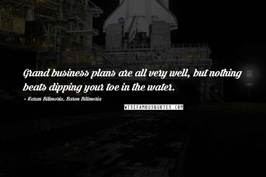 Karan Bilimoria, Baron Bilimoria Quotes: Grand business plans are all very well, but nothing beats dipping your toe in the water.