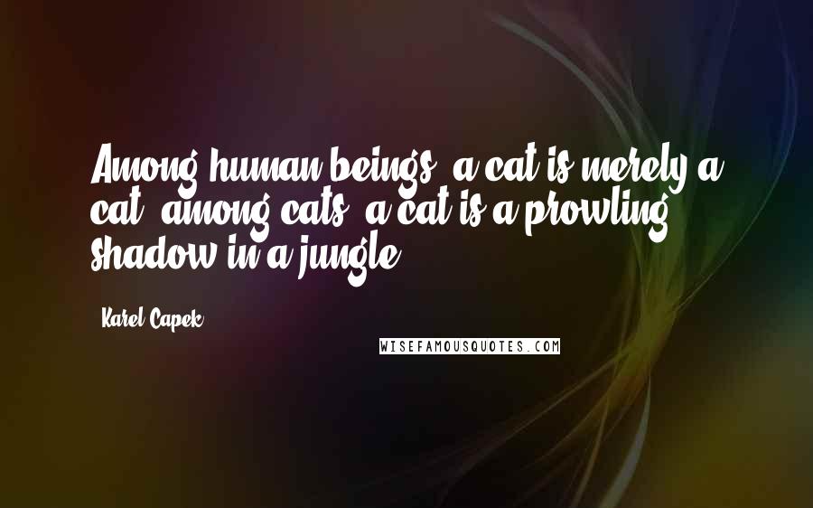 Karel Capek Quotes: Among human beings, a cat is merely a cat; among cats, a cat is a prowling shadow in a jungle.