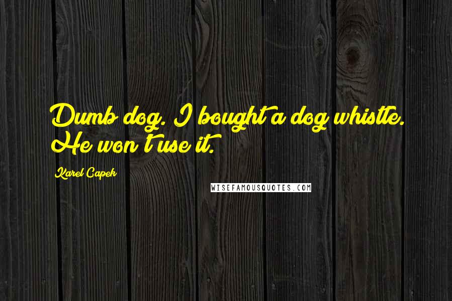 Karel Capek Quotes: Dumb dog. I bought a dog whistle. He won't use it.