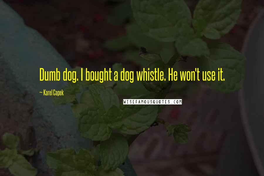 Karel Capek Quotes: Dumb dog. I bought a dog whistle. He won't use it.