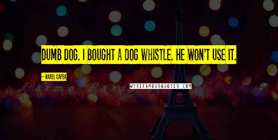 Karel Capek Quotes: Dumb dog. I bought a dog whistle. He won't use it.