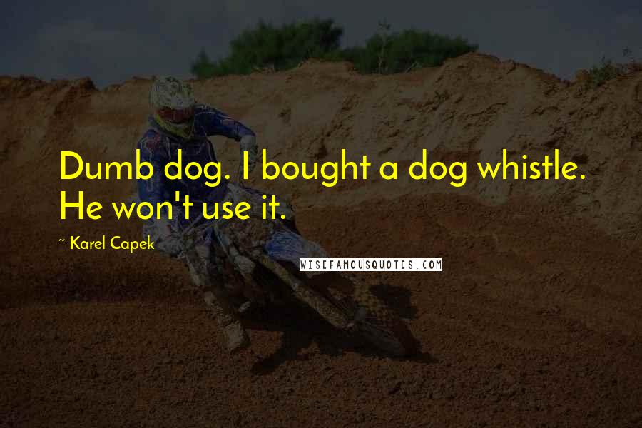 Karel Capek Quotes: Dumb dog. I bought a dog whistle. He won't use it.