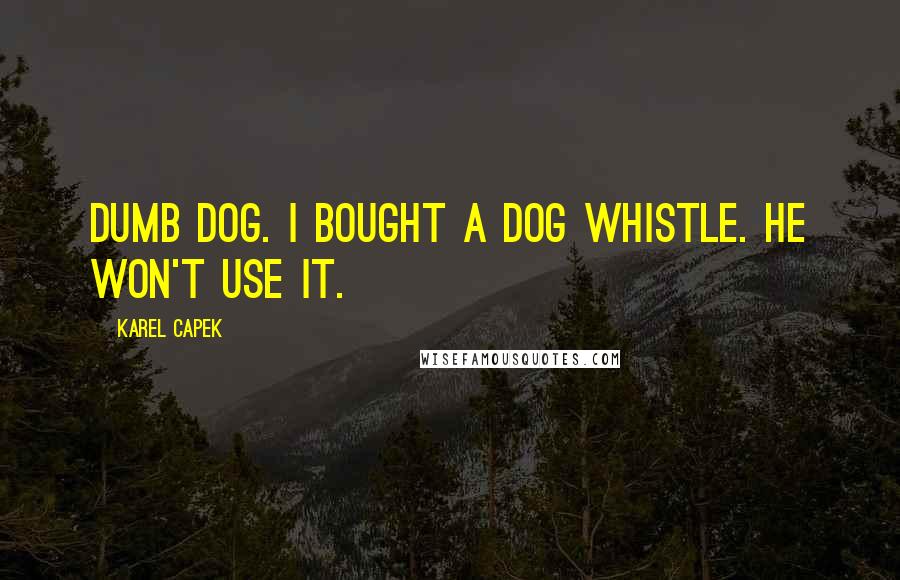 Karel Capek Quotes: Dumb dog. I bought a dog whistle. He won't use it.