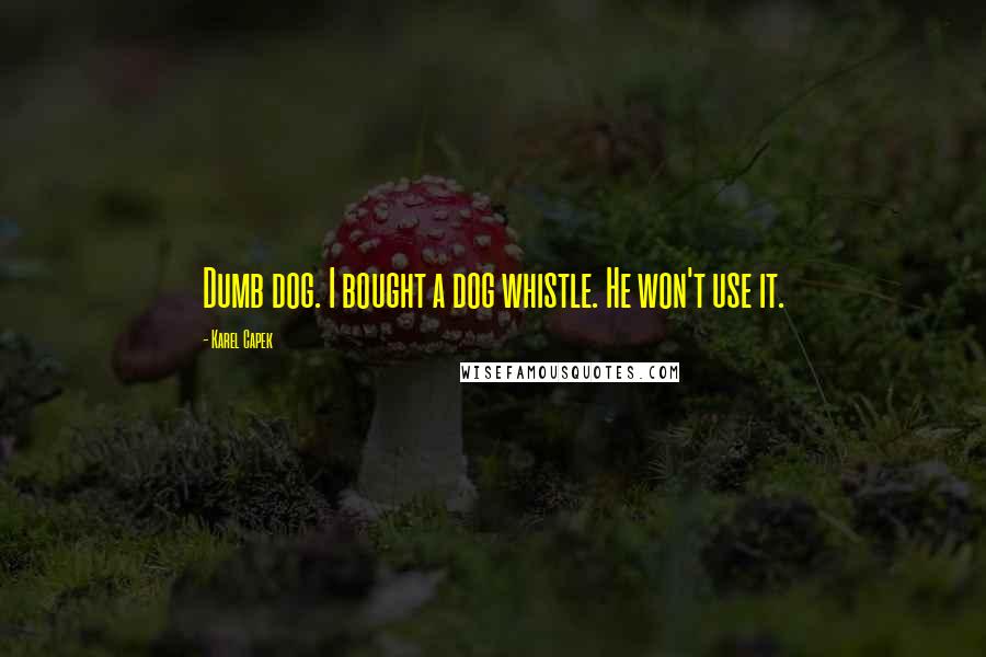 Karel Capek Quotes: Dumb dog. I bought a dog whistle. He won't use it.
