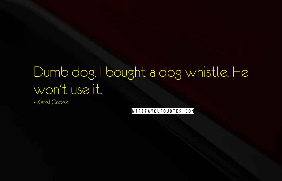 Karel Capek Quotes: Dumb dog. I bought a dog whistle. He won't use it.