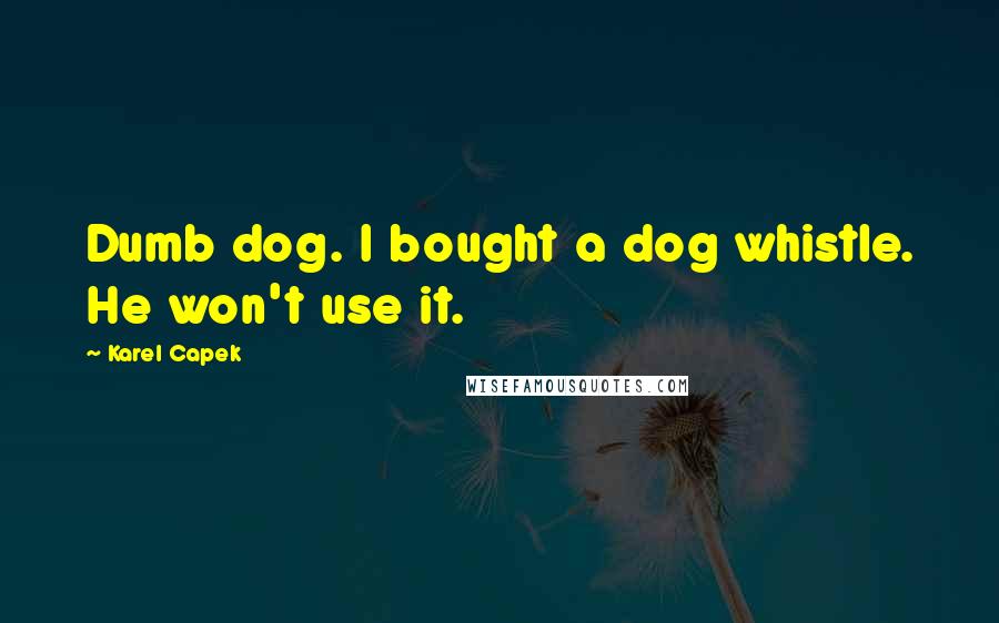 Karel Capek Quotes: Dumb dog. I bought a dog whistle. He won't use it.