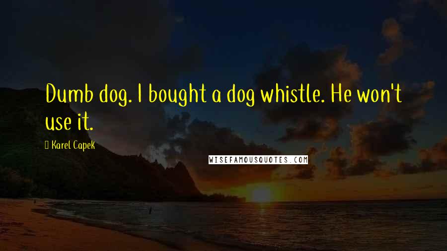 Karel Capek Quotes: Dumb dog. I bought a dog whistle. He won't use it.