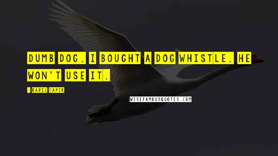 Karel Capek Quotes: Dumb dog. I bought a dog whistle. He won't use it.