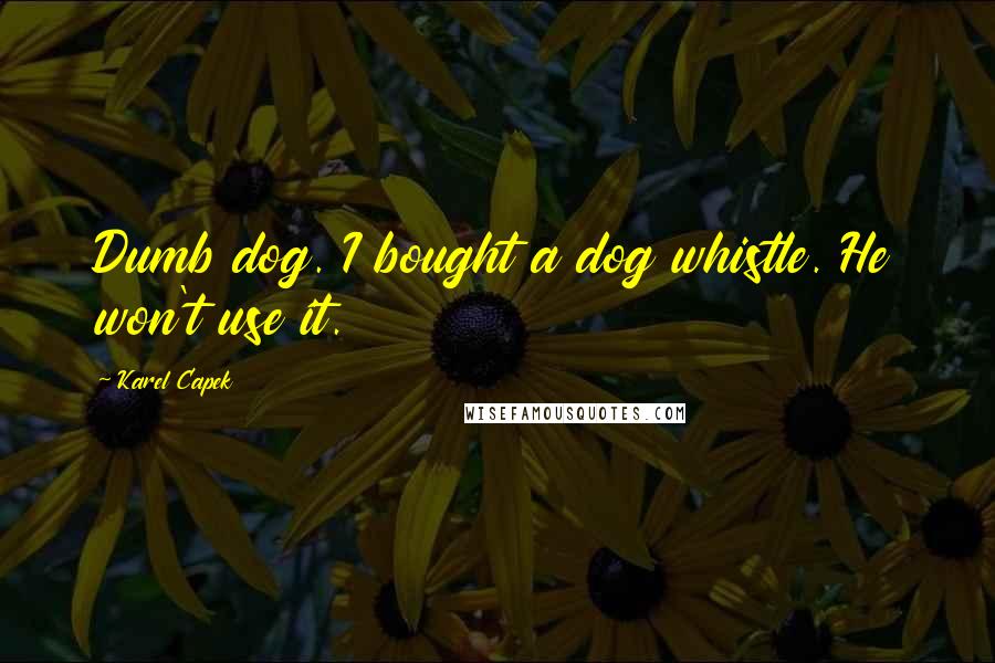 Karel Capek Quotes: Dumb dog. I bought a dog whistle. He won't use it.