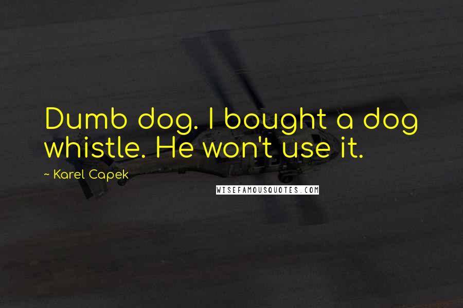 Karel Capek Quotes: Dumb dog. I bought a dog whistle. He won't use it.