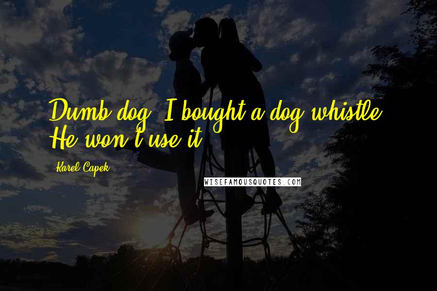 Karel Capek Quotes: Dumb dog. I bought a dog whistle. He won't use it.
