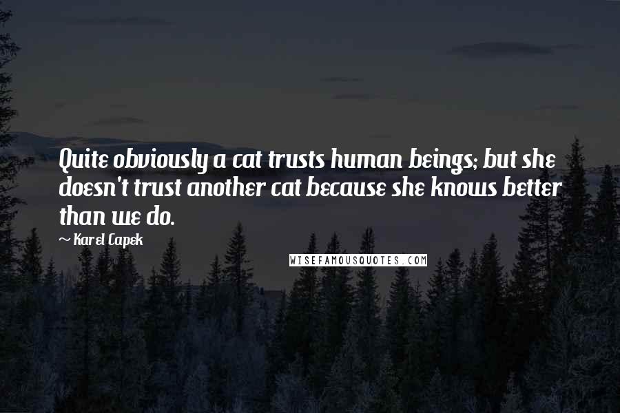 Karel Capek Quotes: Quite obviously a cat trusts human beings; but she doesn't trust another cat because she knows better than we do.