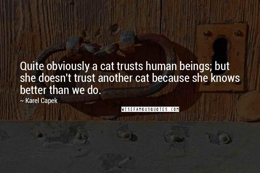 Karel Capek Quotes: Quite obviously a cat trusts human beings; but she doesn't trust another cat because she knows better than we do.