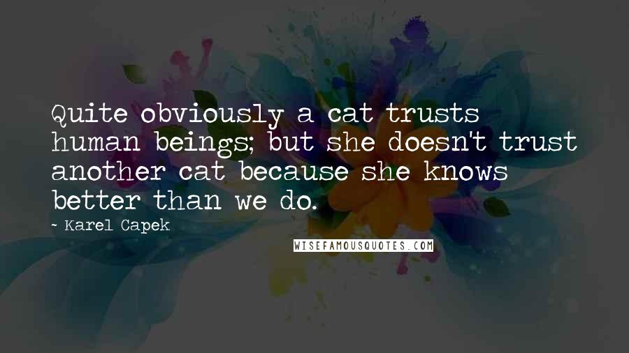Karel Capek Quotes: Quite obviously a cat trusts human beings; but she doesn't trust another cat because she knows better than we do.