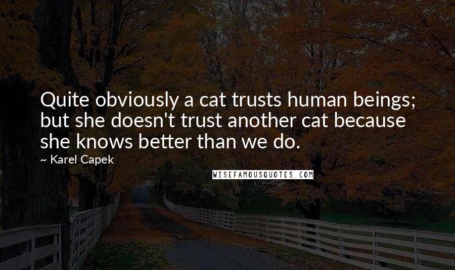 Karel Capek Quotes: Quite obviously a cat trusts human beings; but she doesn't trust another cat because she knows better than we do.