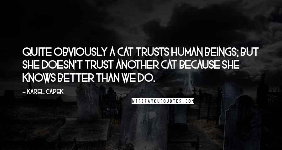 Karel Capek Quotes: Quite obviously a cat trusts human beings; but she doesn't trust another cat because she knows better than we do.