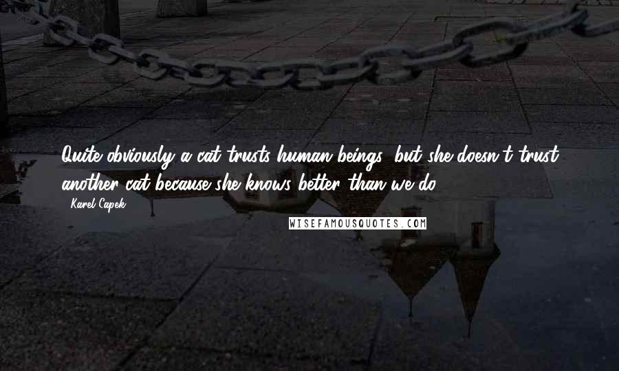 Karel Capek Quotes: Quite obviously a cat trusts human beings; but she doesn't trust another cat because she knows better than we do.