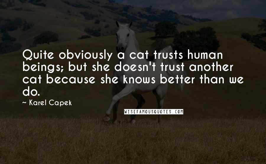 Karel Capek Quotes: Quite obviously a cat trusts human beings; but she doesn't trust another cat because she knows better than we do.