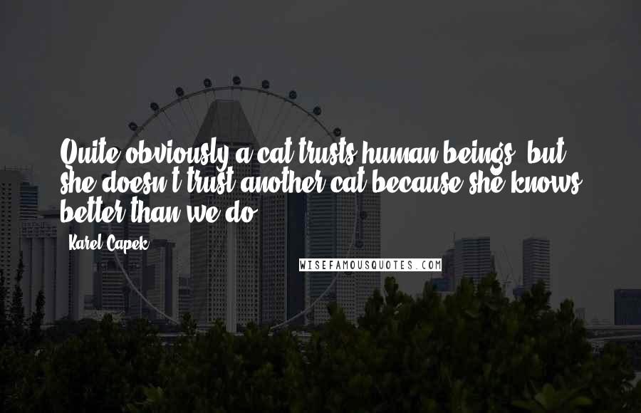 Karel Capek Quotes: Quite obviously a cat trusts human beings; but she doesn't trust another cat because she knows better than we do.