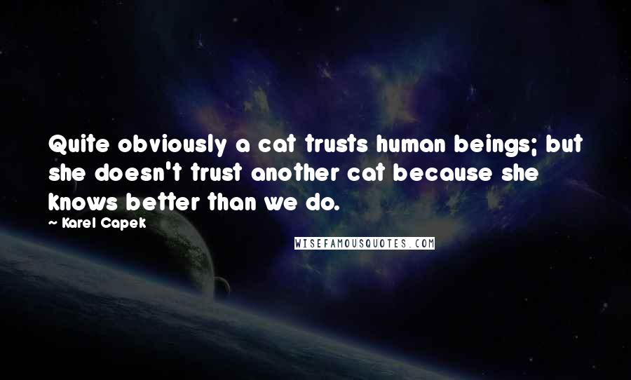 Karel Capek Quotes: Quite obviously a cat trusts human beings; but she doesn't trust another cat because she knows better than we do.