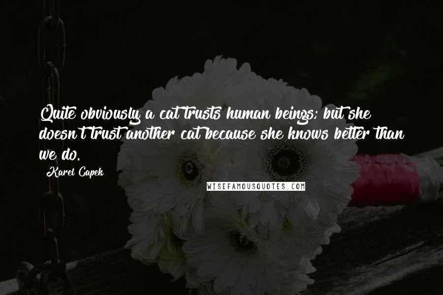 Karel Capek Quotes: Quite obviously a cat trusts human beings; but she doesn't trust another cat because she knows better than we do.