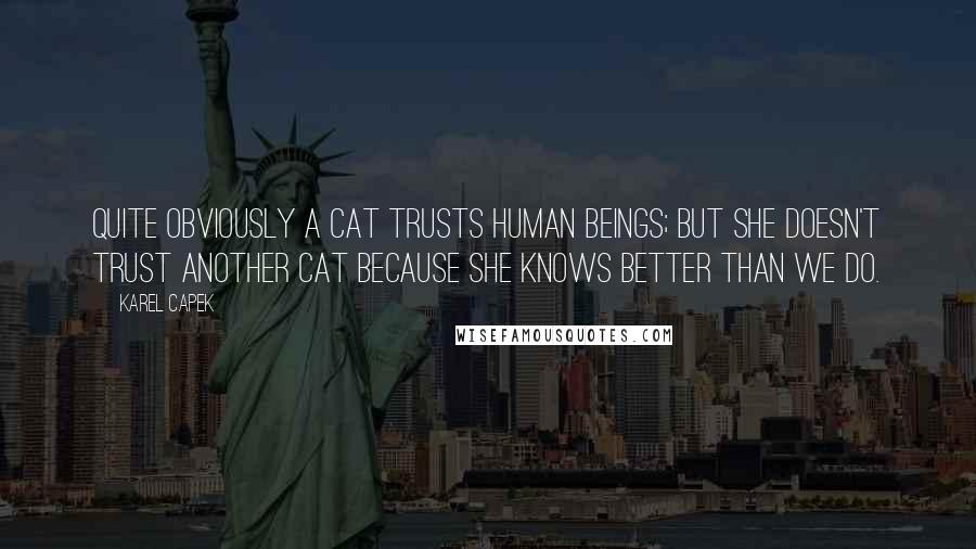 Karel Capek Quotes: Quite obviously a cat trusts human beings; but she doesn't trust another cat because she knows better than we do.