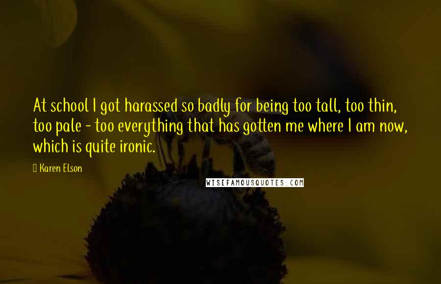 Karen Elson Quotes: At school I got harassed so badly for being too tall, too thin, too pale - too everything that has gotten me where I am now, which is quite ironic.