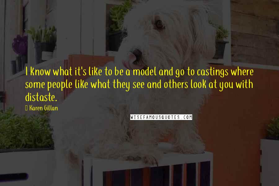 Karen Gillan Quotes: I know what it's like to be a model and go to castings where some people like what they see and others look at you with distaste.