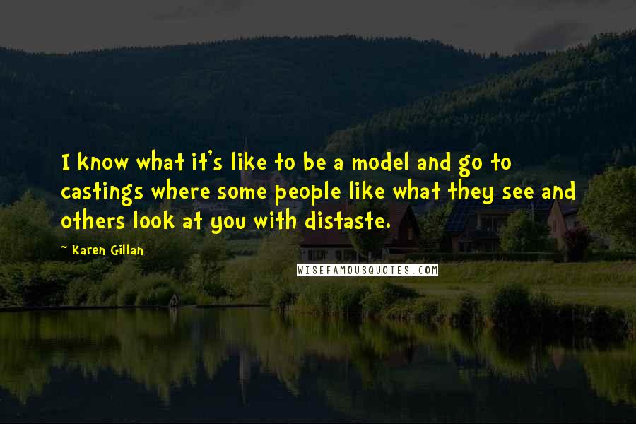 Karen Gillan Quotes: I know what it's like to be a model and go to castings where some people like what they see and others look at you with distaste.