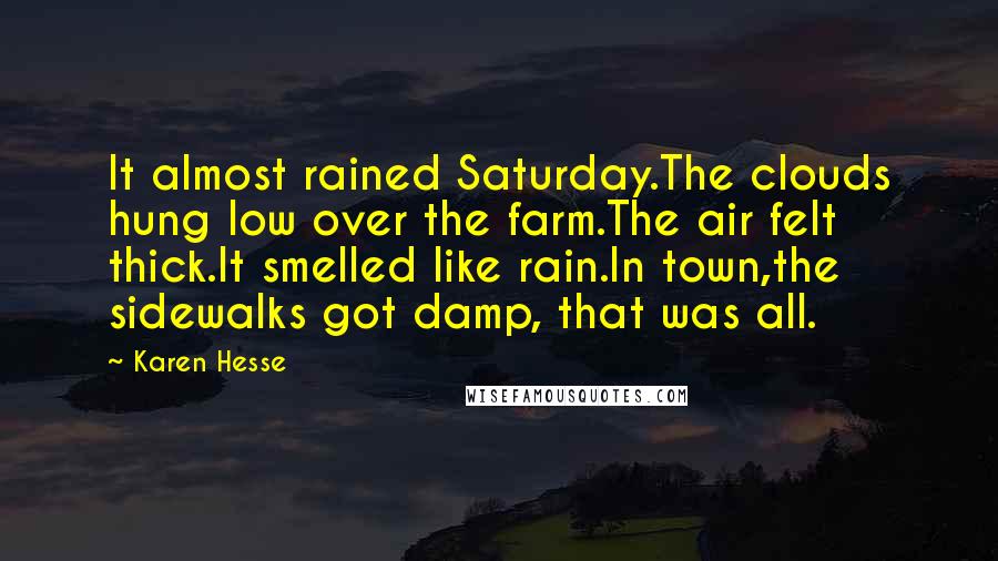 Karen Hesse Quotes: It almost rained Saturday.The clouds hung low over the farm.The air felt thick.It smelled like rain.In town,the sidewalks got damp, that was all.