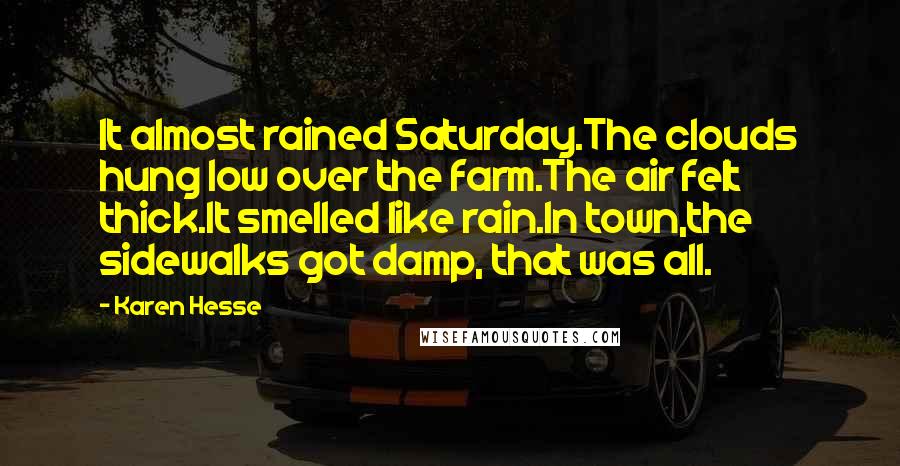 Karen Hesse Quotes: It almost rained Saturday.The clouds hung low over the farm.The air felt thick.It smelled like rain.In town,the sidewalks got damp, that was all.