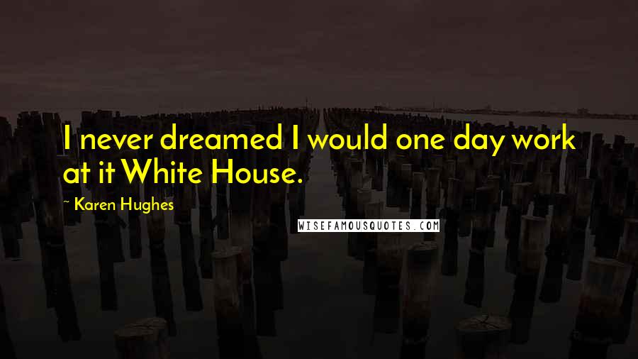 Karen Hughes Quotes: I never dreamed I would one day work at it White House.