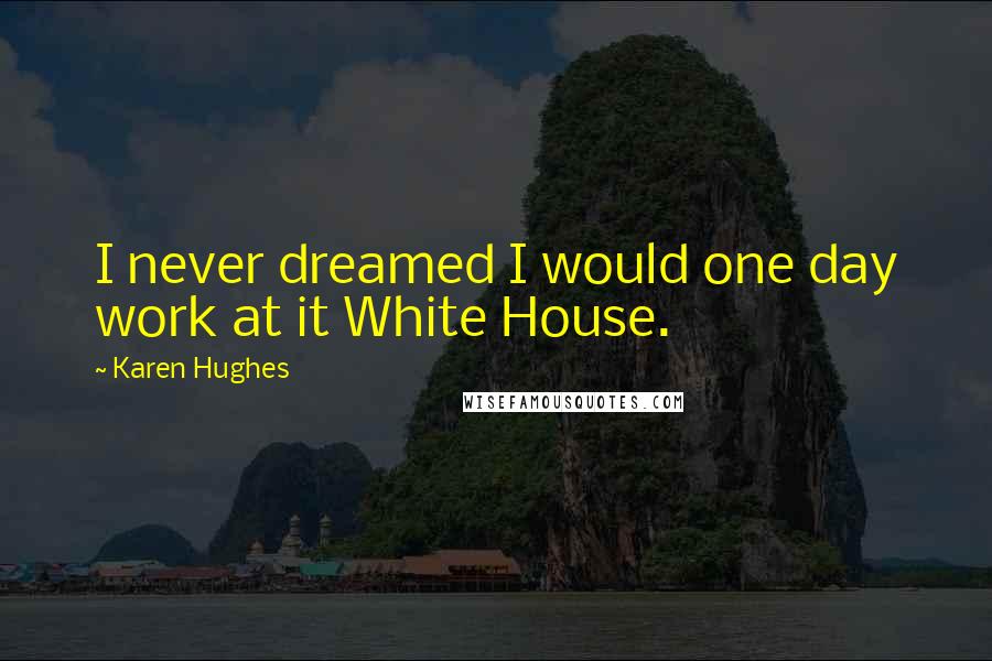 Karen Hughes Quotes: I never dreamed I would one day work at it White House.