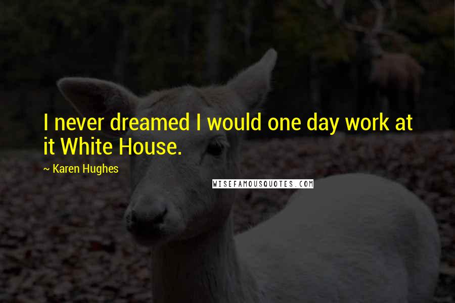 Karen Hughes Quotes: I never dreamed I would one day work at it White House.