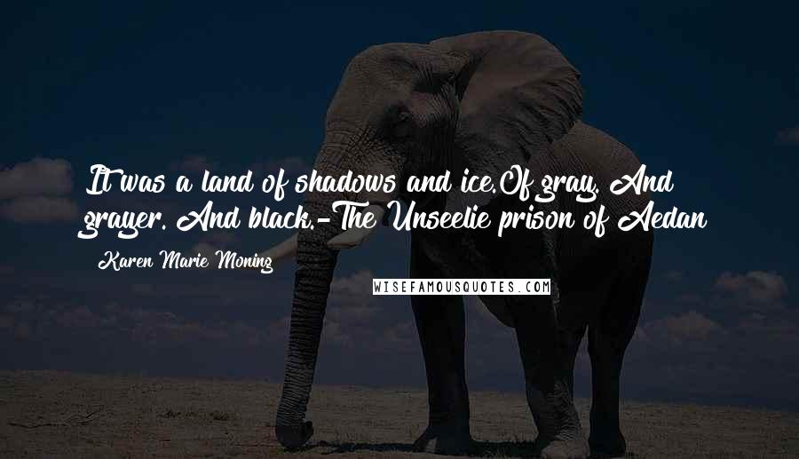 Karen Marie Moning Quotes: It was a land of shadows and ice.Of gray. And grayer. And black.-The Unseelie prison of Aedan