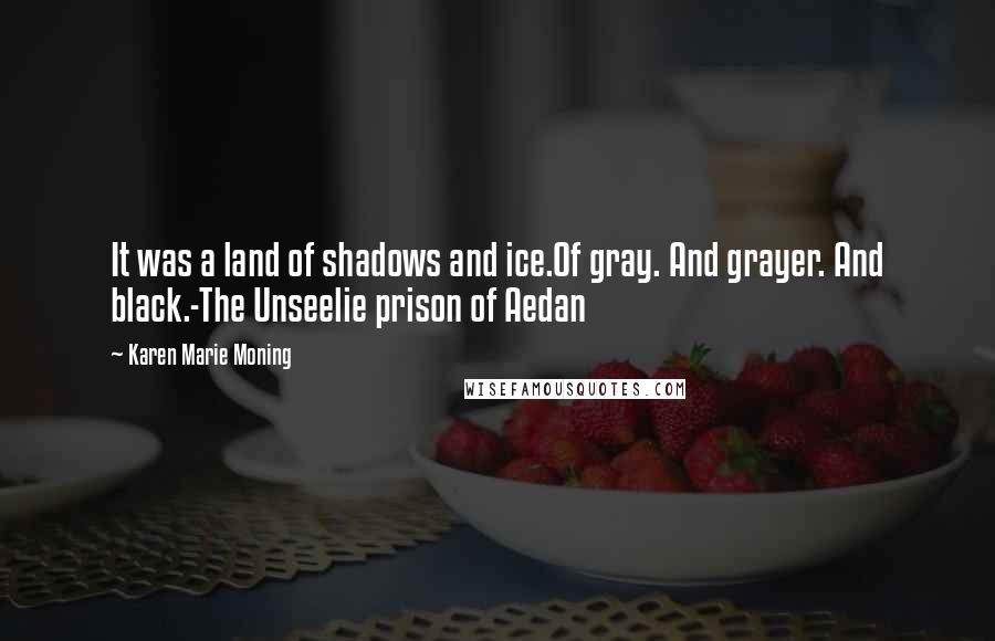 Karen Marie Moning Quotes: It was a land of shadows and ice.Of gray. And grayer. And black.-The Unseelie prison of Aedan