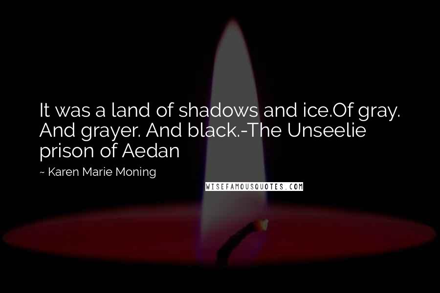 Karen Marie Moning Quotes: It was a land of shadows and ice.Of gray. And grayer. And black.-The Unseelie prison of Aedan